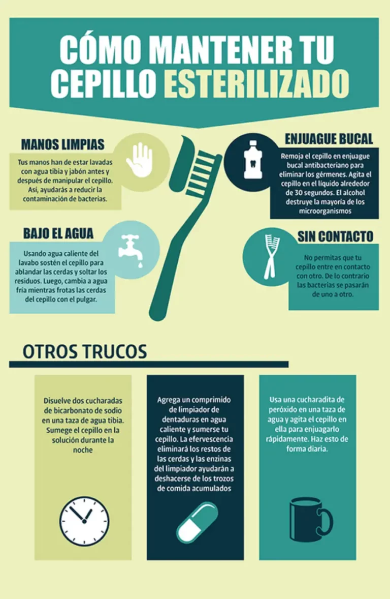Infografía para mantener un cepillo esterilizado